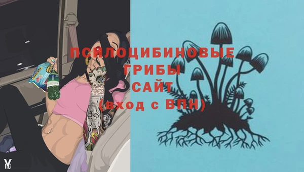 ECSTASY Беслан
