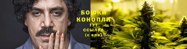 стафф Володарск