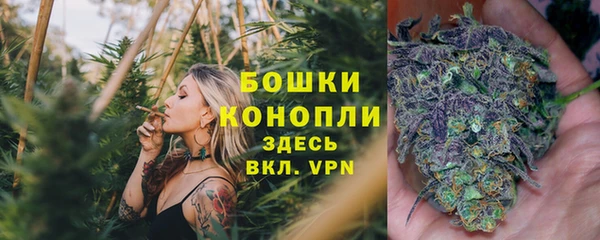 прущие крисы Вязники
