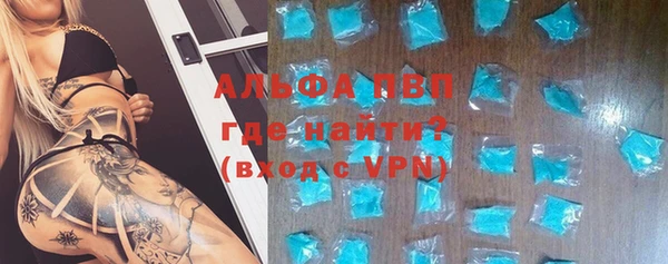 гидра Билибино