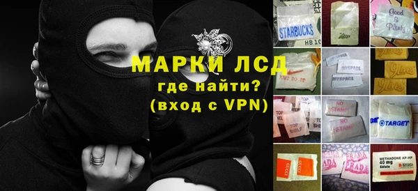 спиды Вяземский