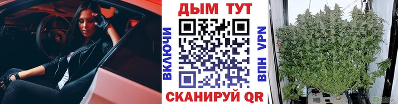Марихуана SATIVA & INDICA  магазин  наркотиков  Гаврилов Посад 